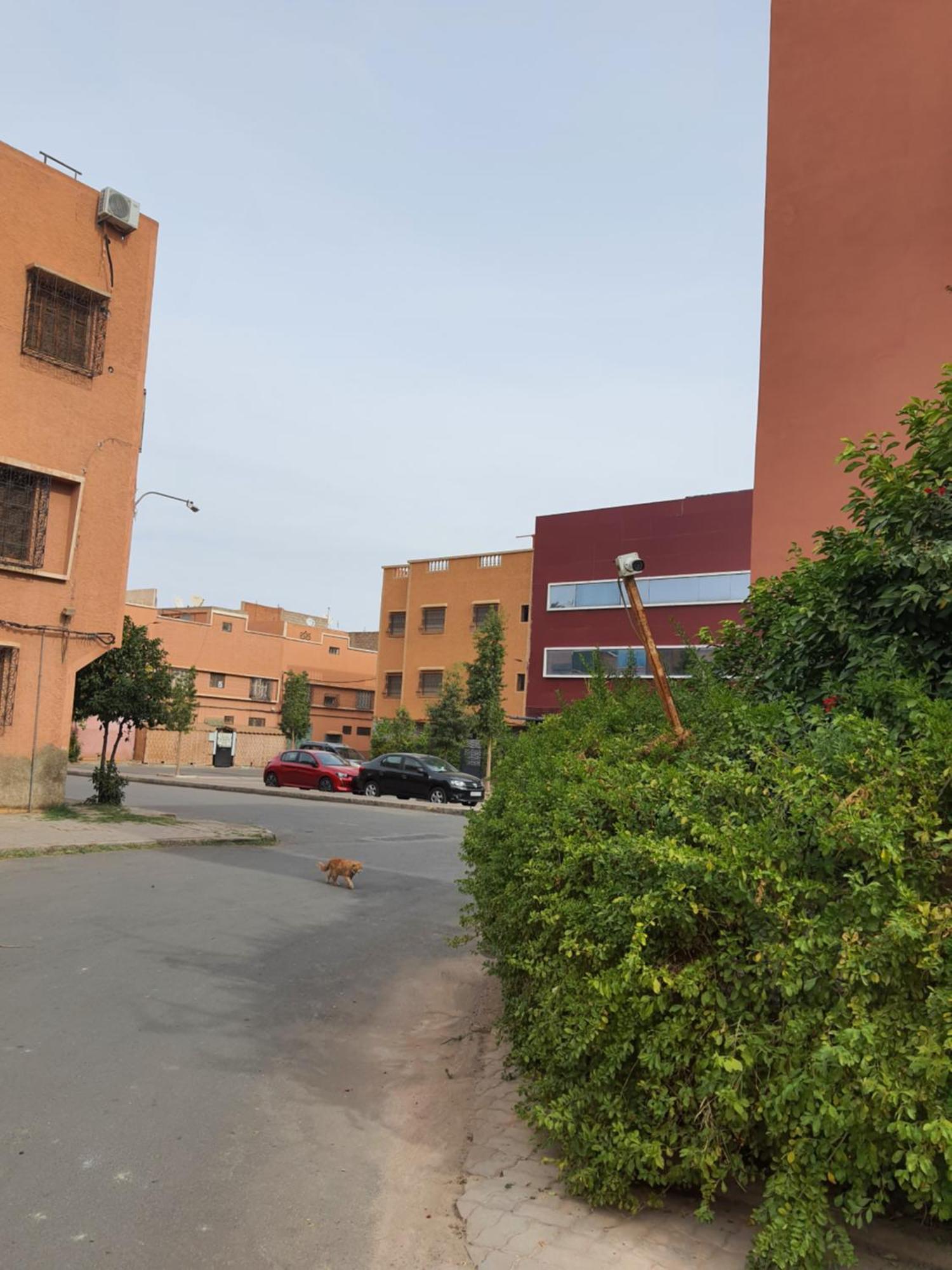 شقة Marrakech مراكش المظهر الخارجي الصورة